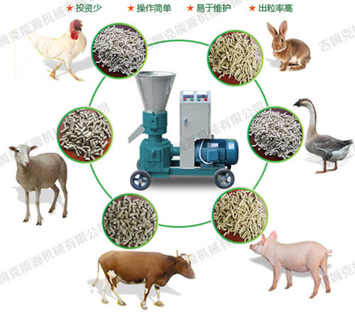 鴿子飼料顆粒機(jī)壓制顆粒飼料